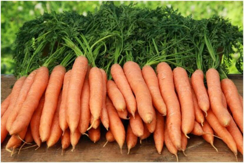 بهترین مواد خوراکی پر فیبر برای درمان یبوست، هویج
