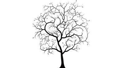 تست بررسی وضعیت مغز با درخت