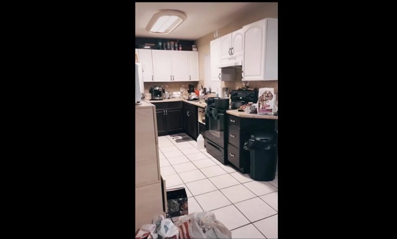 تست قدرت بینایی با گربه در آشپزخانه