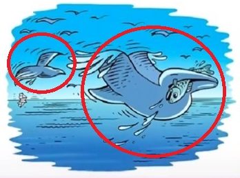 تست قدرت بینایی دلفین و پرنده