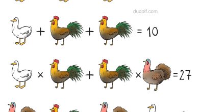 سوالات هوش ریاضی با تصاویر پرنده