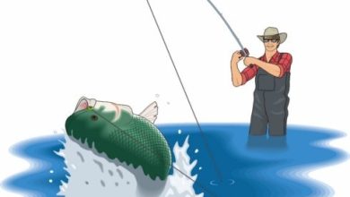 حکایت مرد ماهیگیر، ماهی جادویی و آرزوهای همسر ماهیگیر