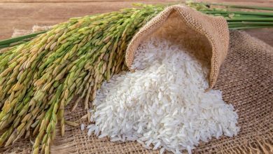 برنج فواید و مضرات