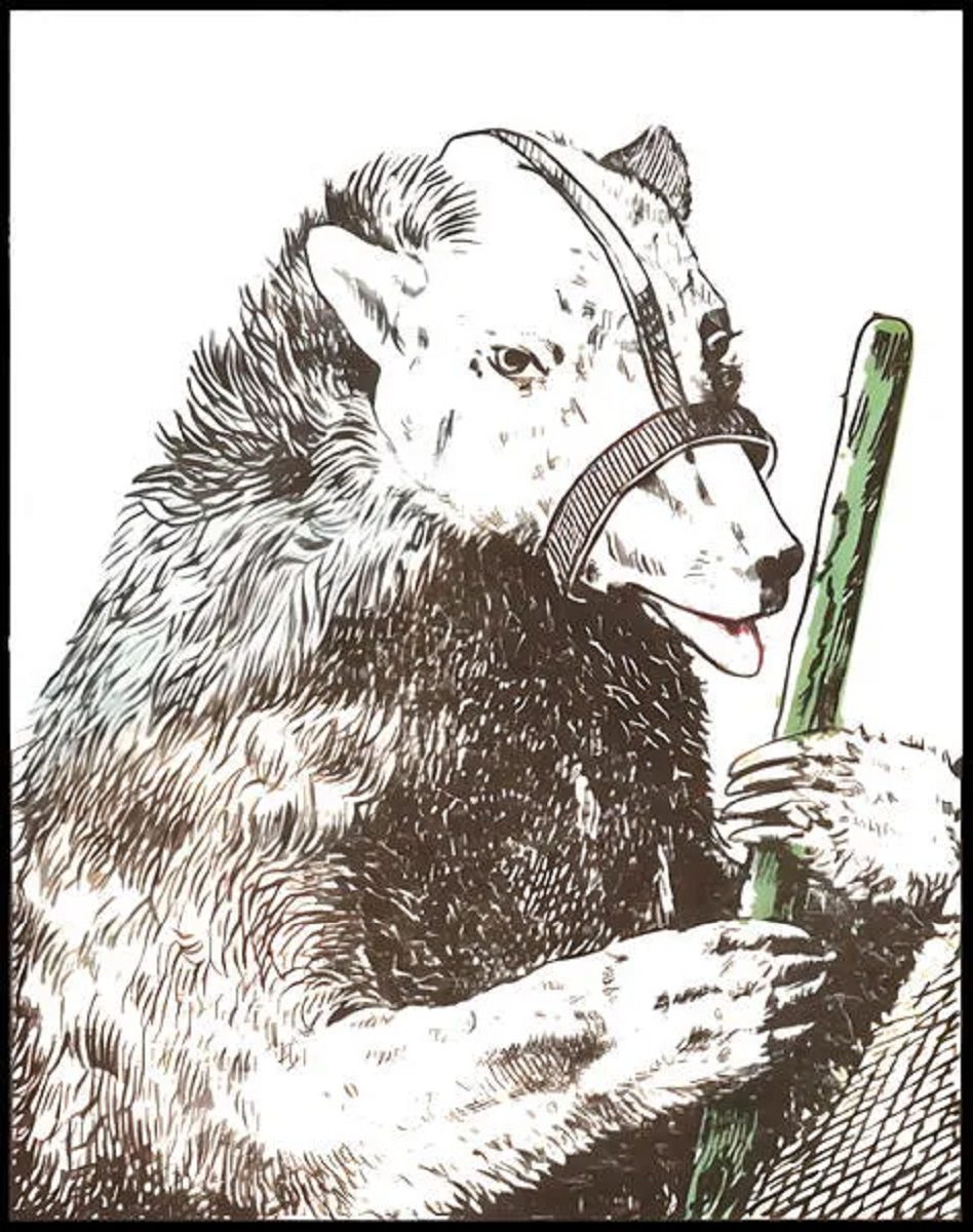 تست قدرت بینایی چهره