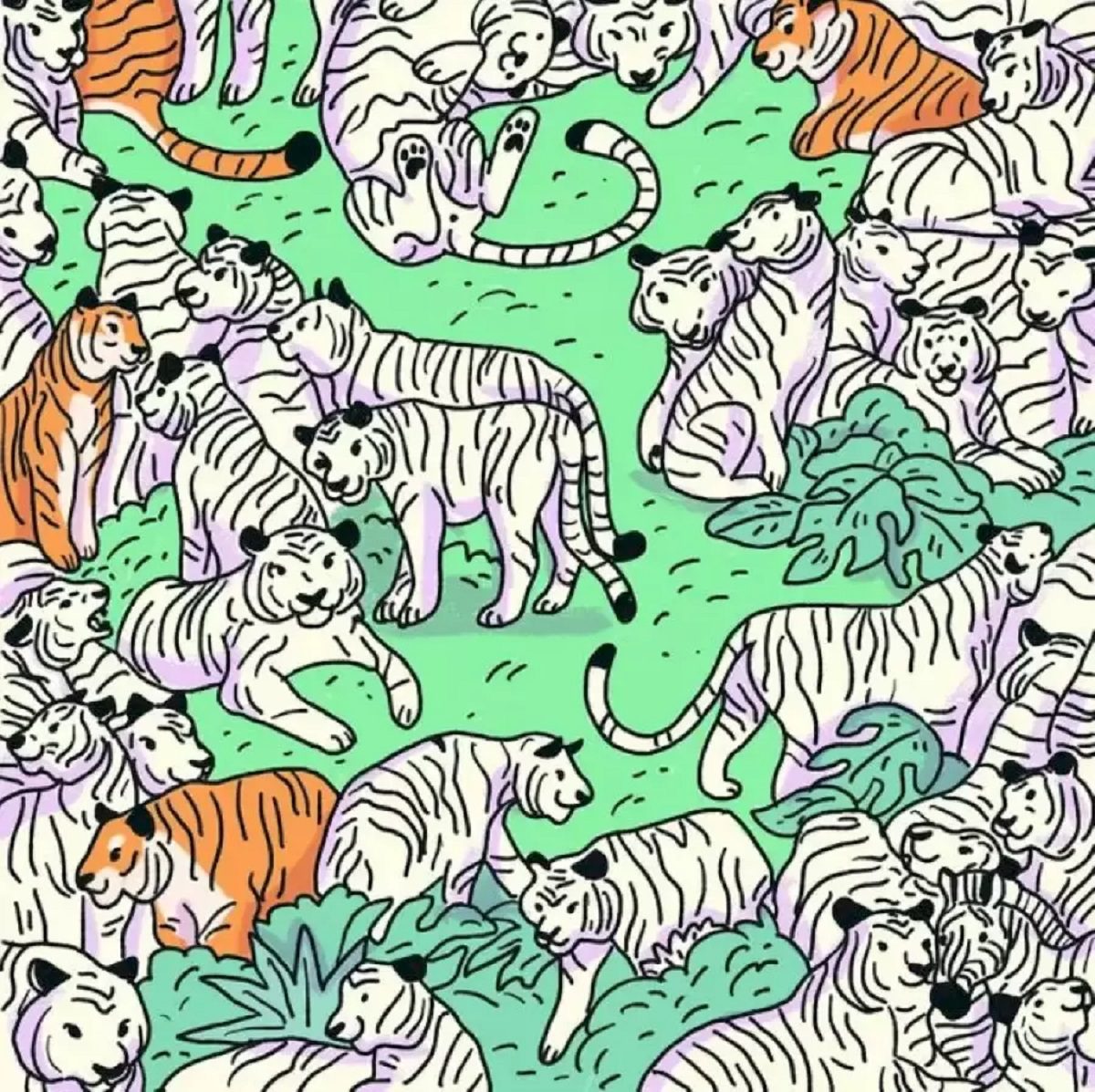 تست قدرت بینایی گورخر