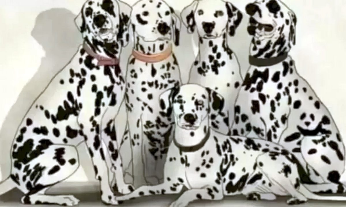 تست قدرت بینایی پاندا