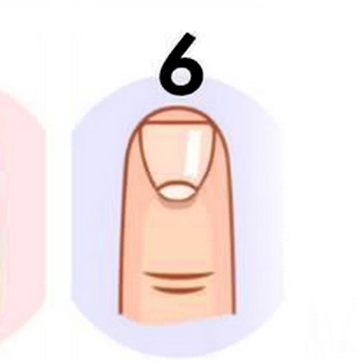 شکل ناخن شماره 6 در تست شخصیت شناسی براساس شکل ناخن
