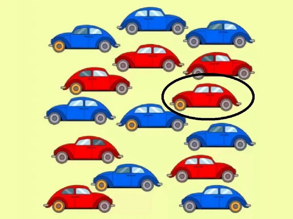 پاسخ اتومبیل متفاوت