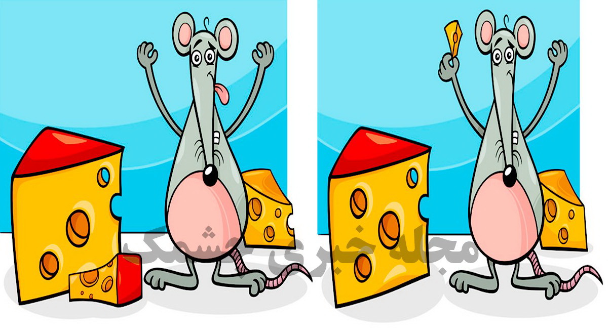 آزمون شناسایی تفاوت موش و پنیر
