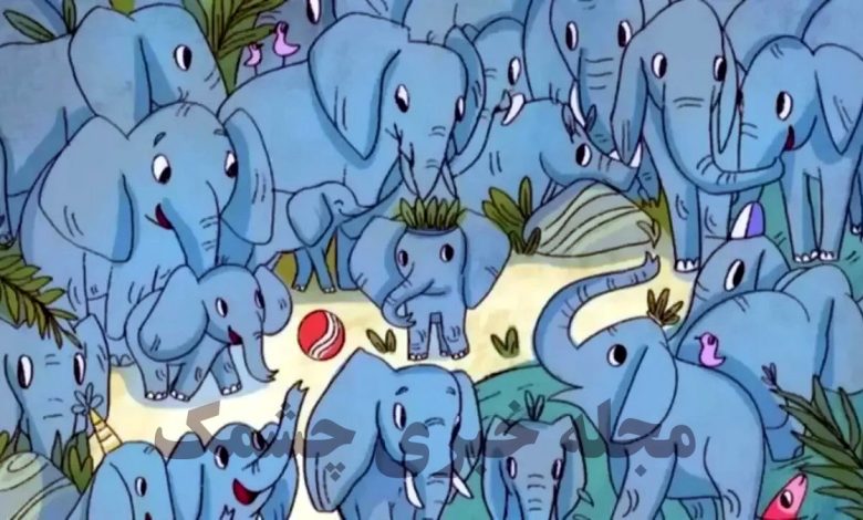 آزمون شناسایی کرگدن میان فیل ها