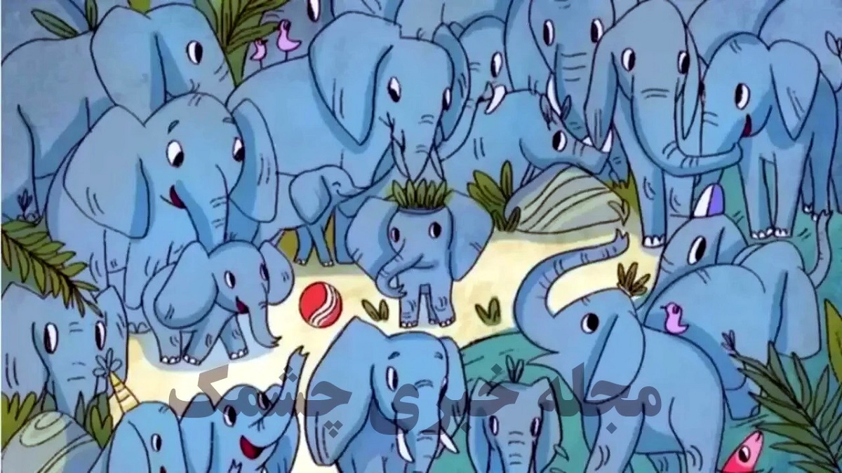 آزمون شناسایی کرگدن میان فیل ها