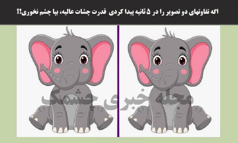 آزمون پیدا کردن تفاوت های تصویر فیل