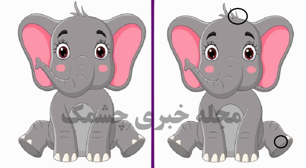 پاسخ پیدا کردن تفاوت های تصویر فیل