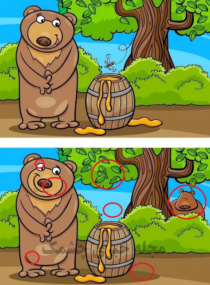 پاسخ تفاوت دو خرس