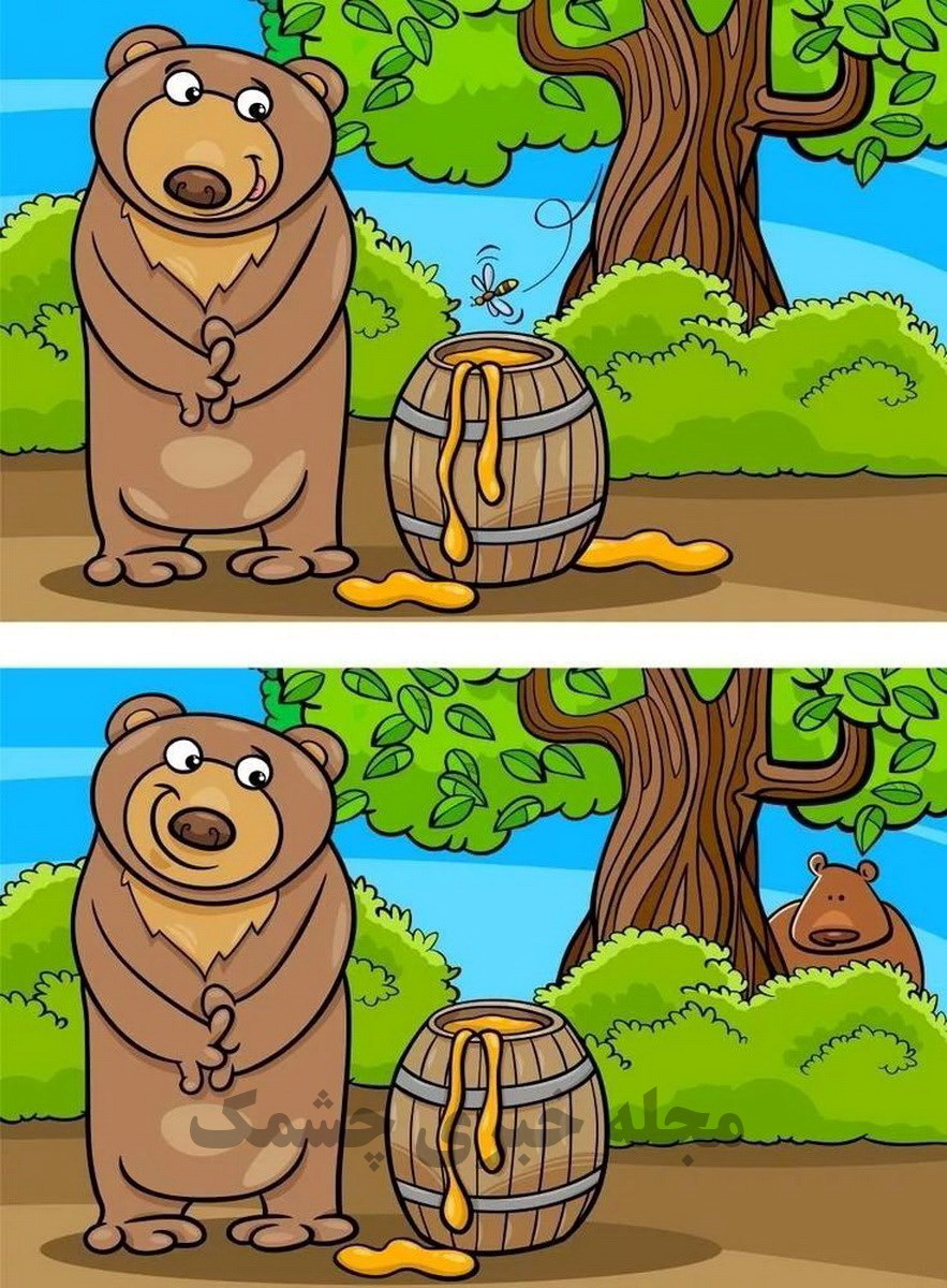 آزمون یافتن تفاوت تصویر خرس