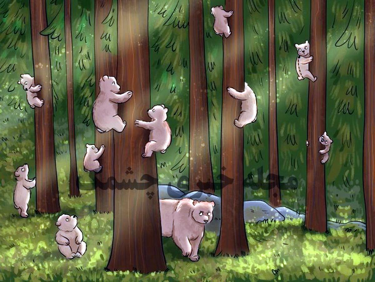 چالش تصویری خرس ها در جنگل
