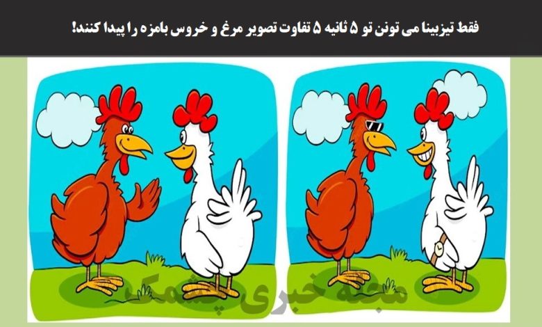 آزمون شناسایی تفاوت تصویر مرغ و خروس