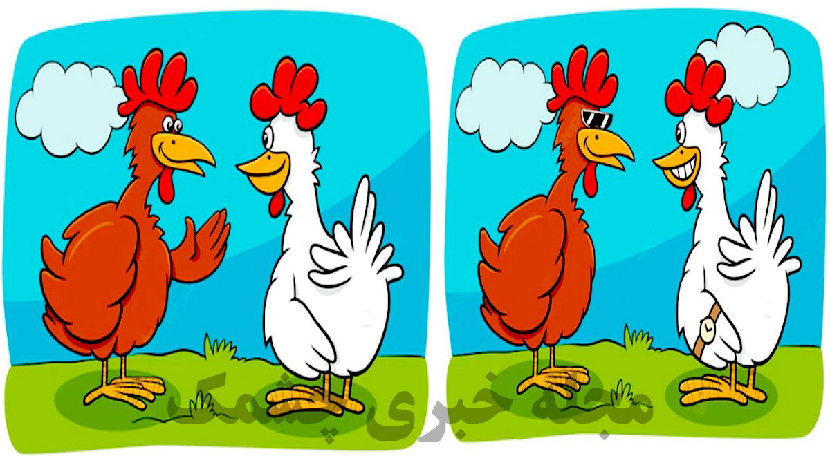 آزمون شناسایی تفاوت تصویر مرغ و خروس