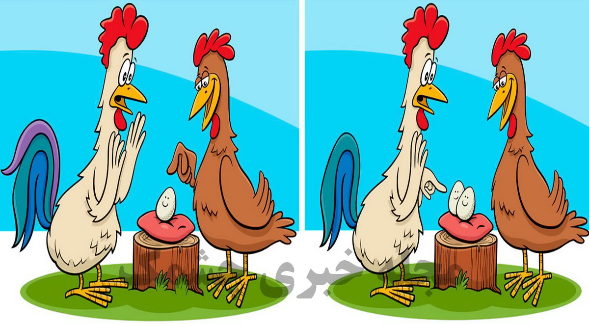 آزمون شناسایی تفاوت مرغ و خروس