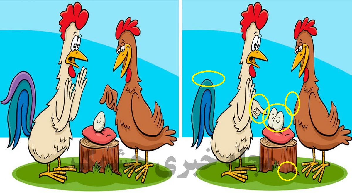 پاسخ آزمون تفاوت مرغ و خروس