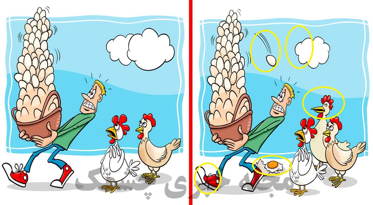 پاسخ آزمون تفاوتهای مرغ و تخم مرغ