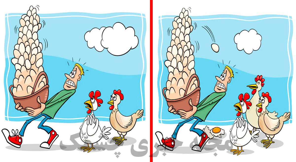 آزمون شناسایی تفاوتهای مرغ و تخم مرغ