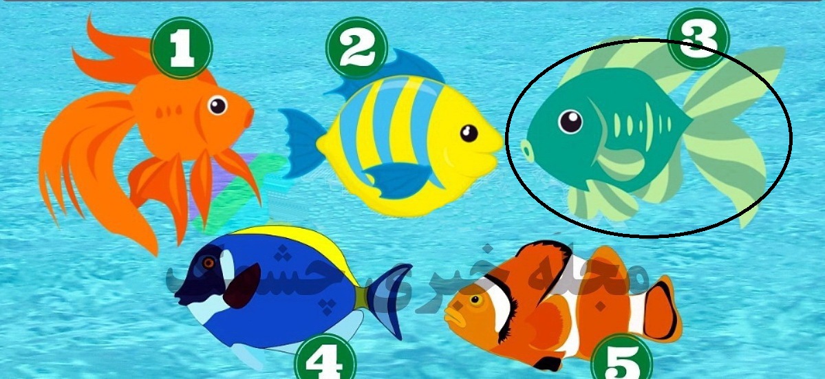 ماهی 3