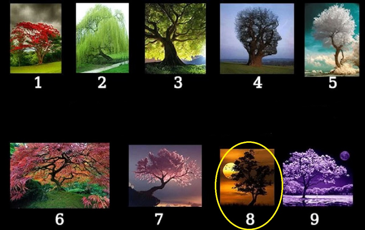 تست شخصیت براساس انتخاب نوع درخت