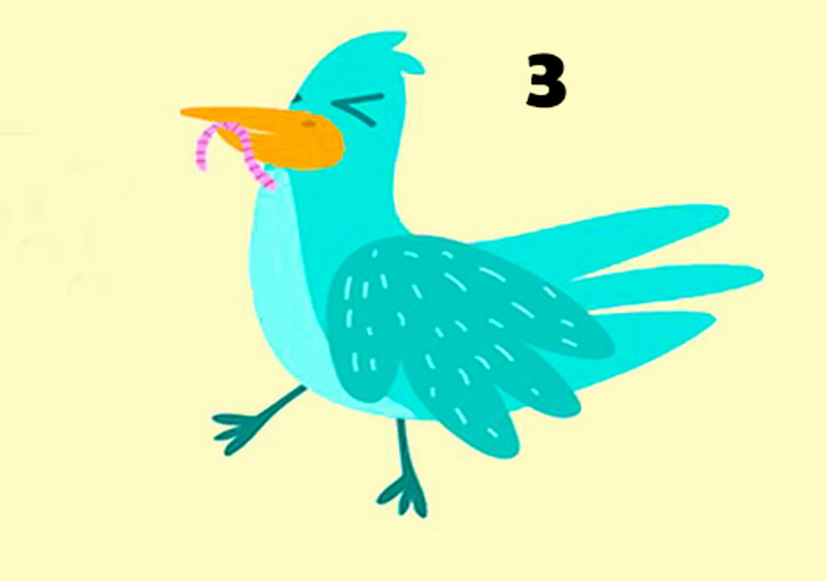 پرنده 3