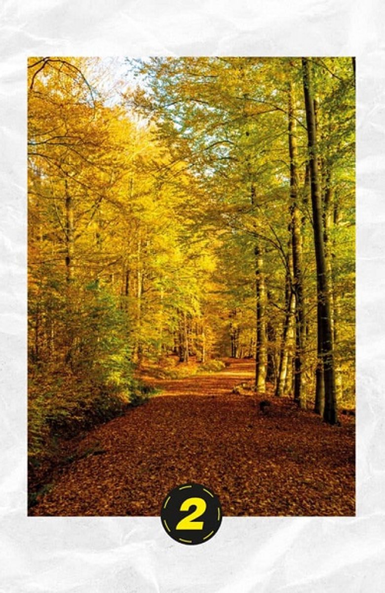 تست شخصیت منظره زیبا