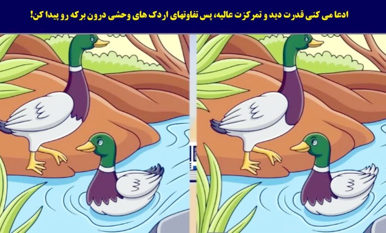 آزمون شناسایی تفاوت اردک های وحشی
