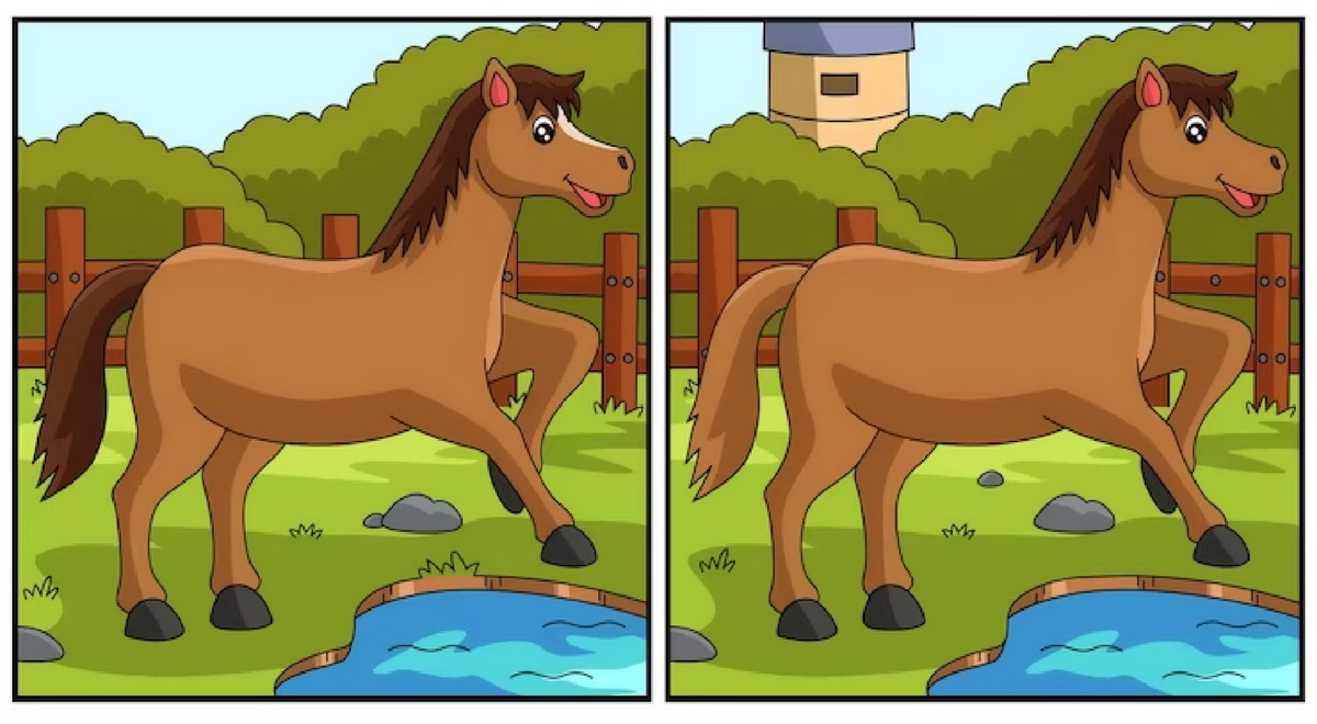 آزمون شناسایی تفاوت تصویر دو اسب
