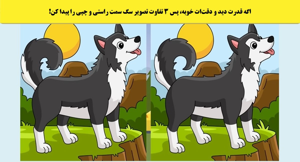 آزمون شناسایی تفاوت تصویر سگ