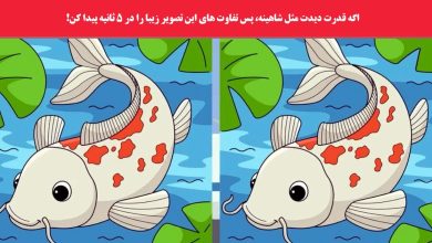 آزمون شناسایی تفاوت دو تصویر ماهی