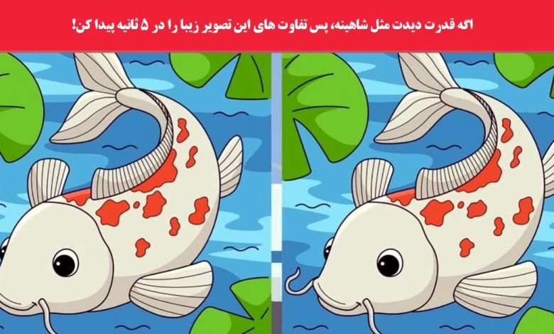 آزمون شناسایی تفاوت دو تصویر ماهی