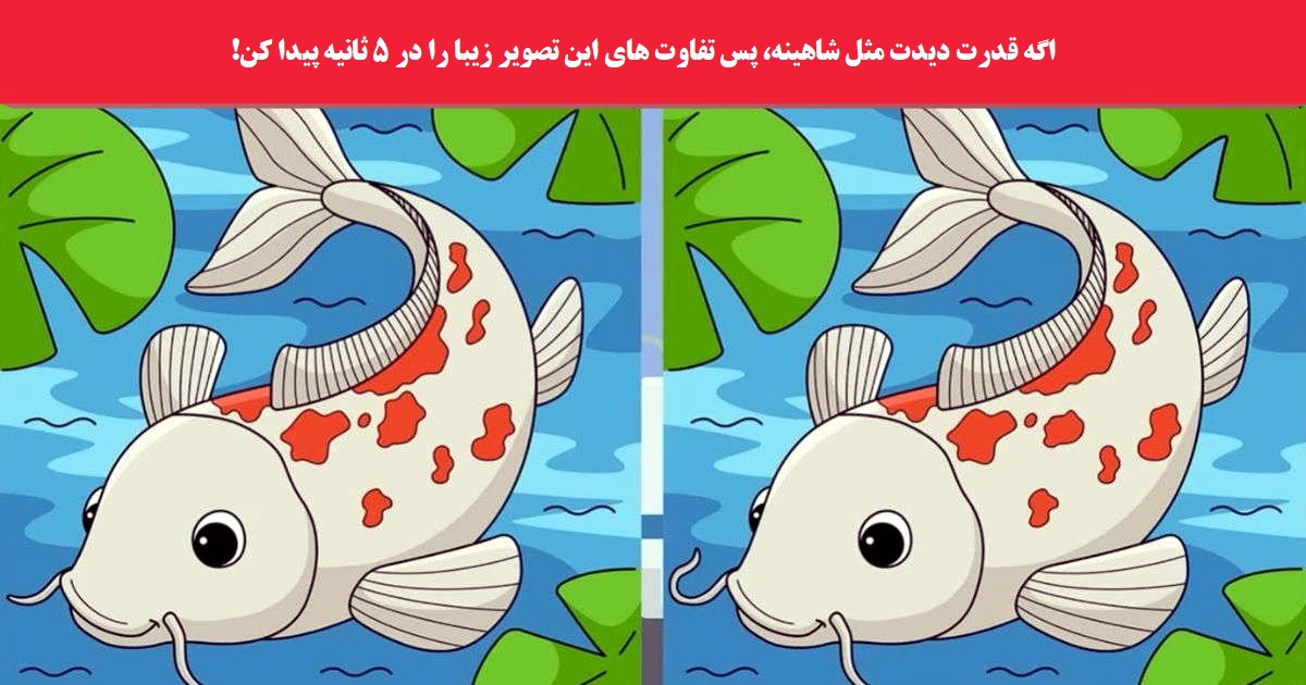 آزمون شناسایی تفاوت دو تصویر ماهی