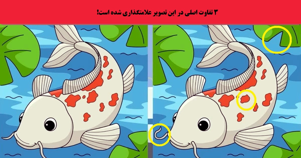 پاسخ آزمون تفاوت دو تصویر ماهی