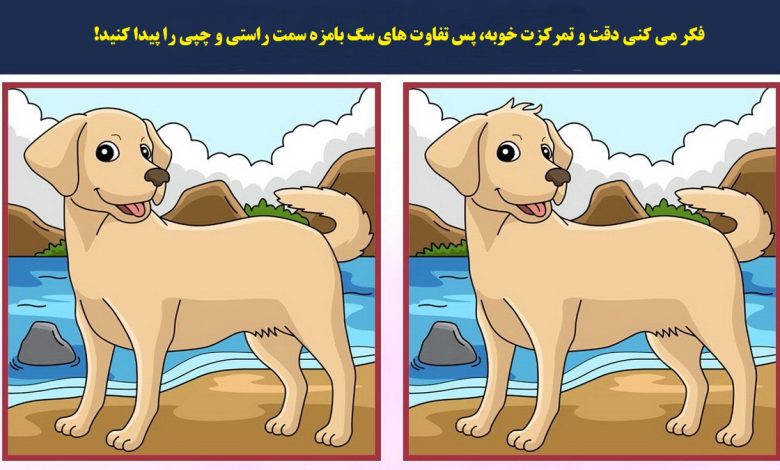 آزمون شناسایی تفاوت دو سگ