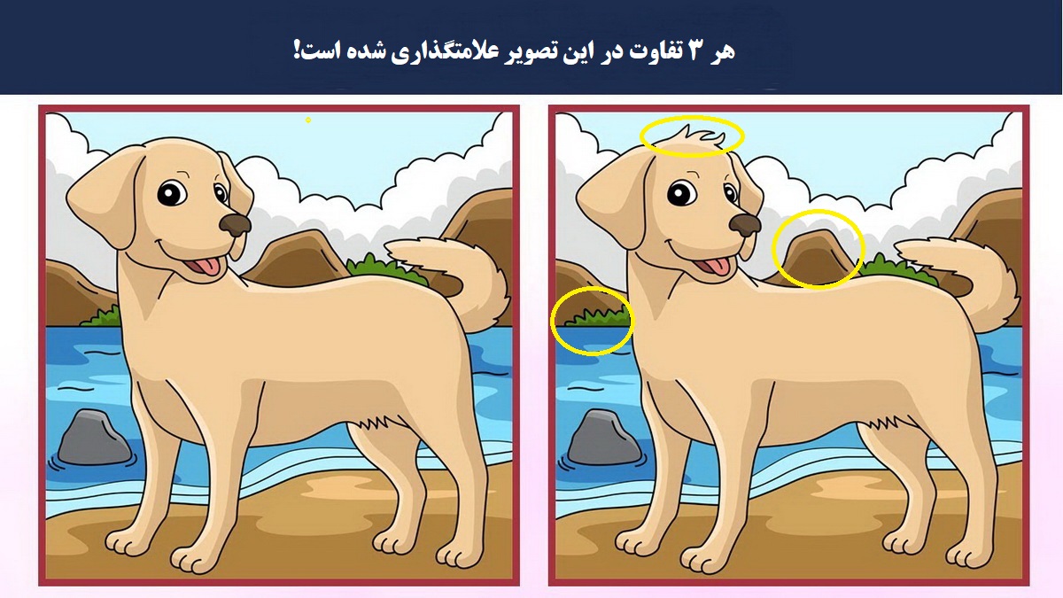 شناسایی تفاوت دو سگ