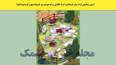 آزمون شناسایی گرگ میان گوسفندان