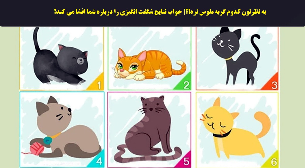 تست شخصیت براساس انتخاب گربه