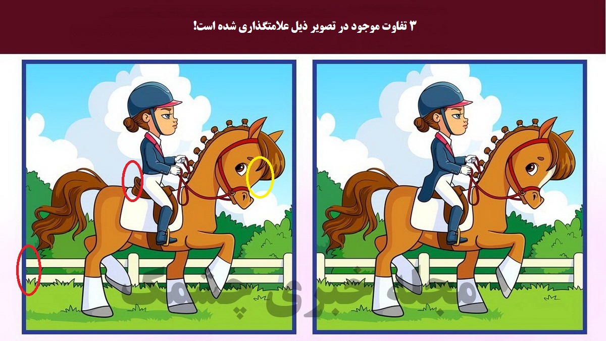 تفاوتهای تصویر اسب سوار