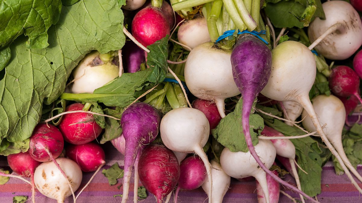 سلامت دستگاه گوارش با فیبر