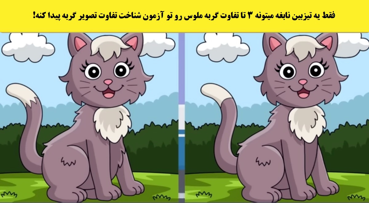 آزمون شناخت تفاوت تصویر گربه