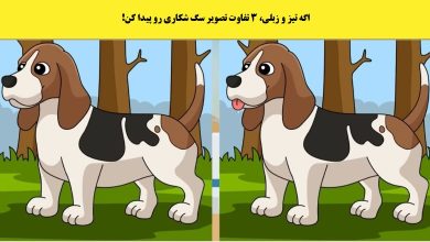 آزمون شناسایی تفاوت تصویر سگ شکاری