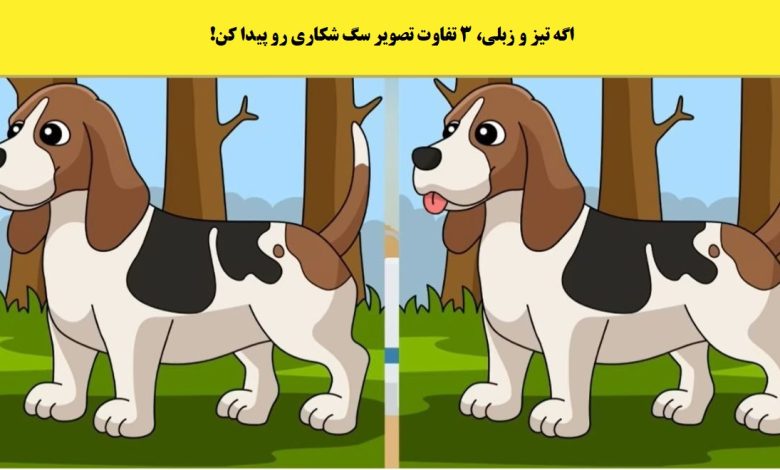 آزمون شناسایی تفاوت تصویر سگ شکاری