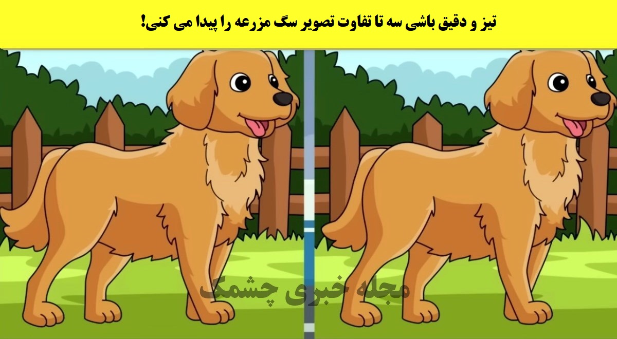 آزمون شناسایی تفاوت تصویر سگ مزرعه