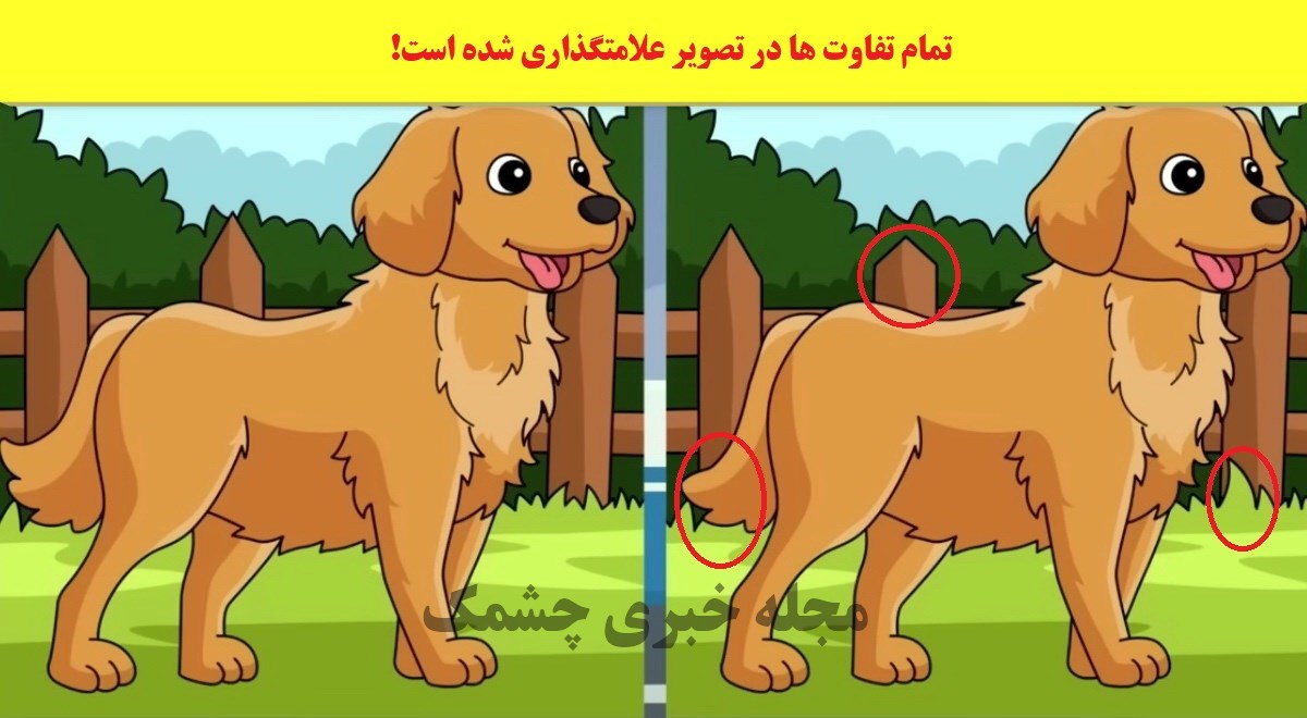 شناسایی تفاوت تصویر سگ مزرعه