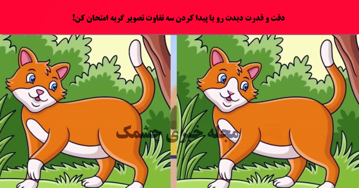 آزمون شناسایی تفاوت تصویر گربه جنگل
