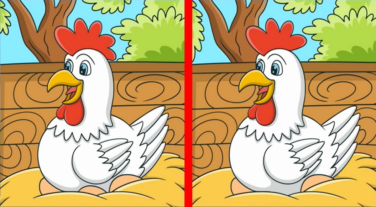 آزمون شناسایی تفاوت مرغ بامزه